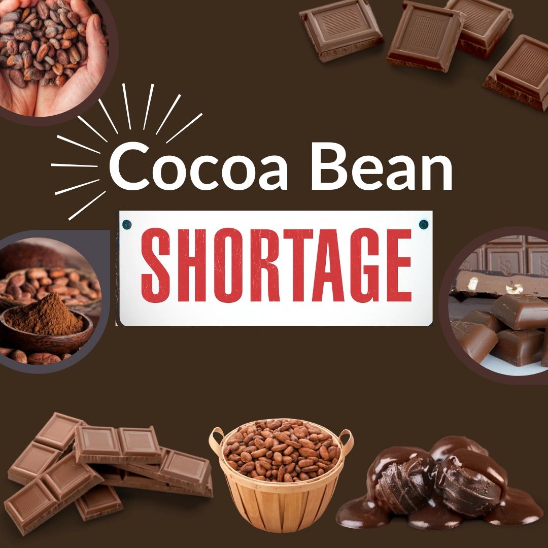 Chocolate cost increasing due to cocoa bean shortage